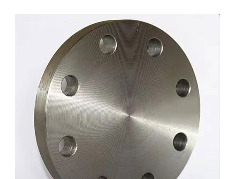 Blind Flange/Tube Sheet